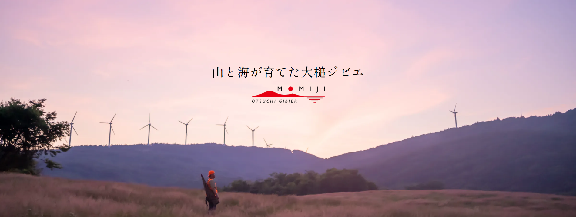 MOMIJI株式会社