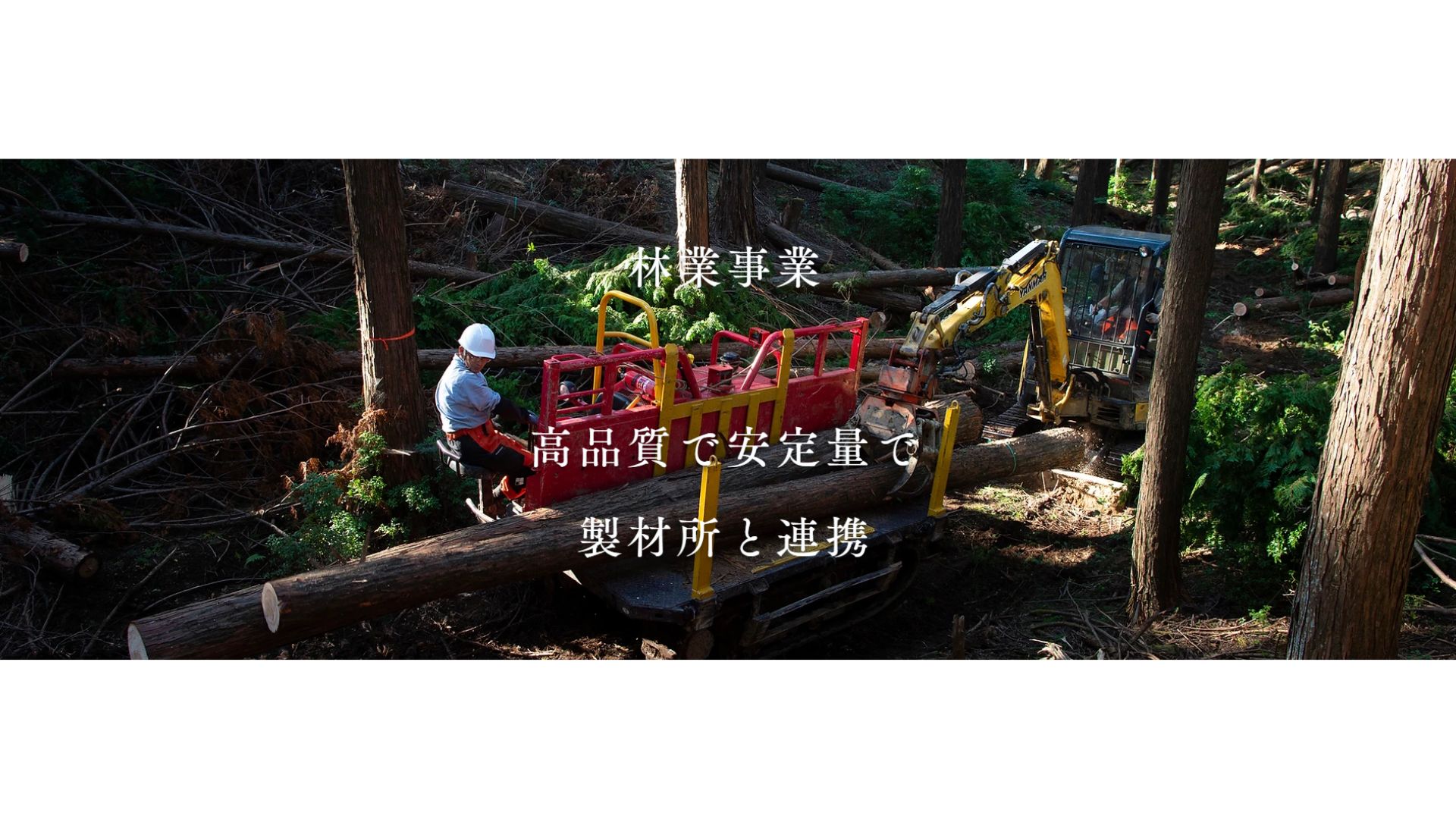 森庄銘木産業株式会社