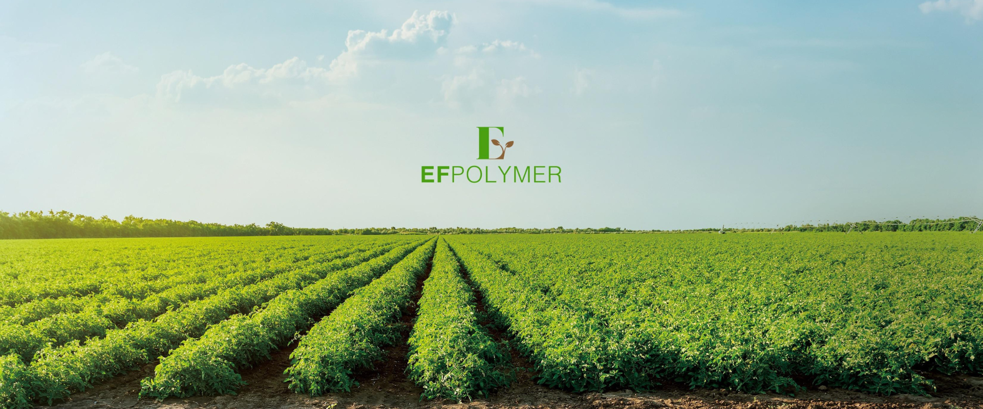EF Polymer株式会社