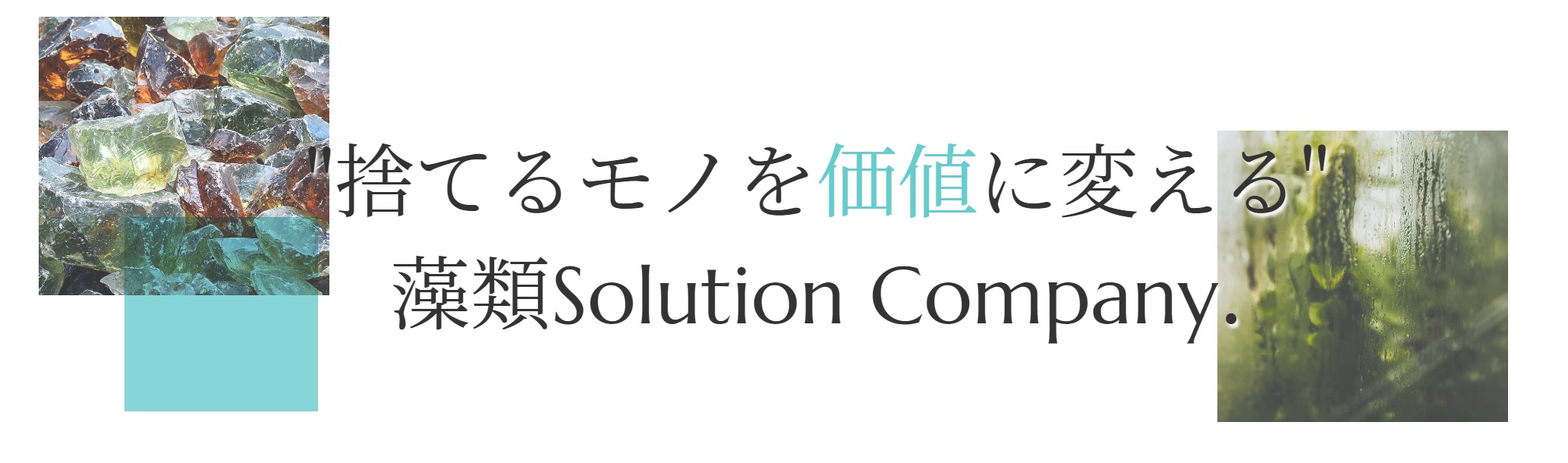 株式会社AlgaleX